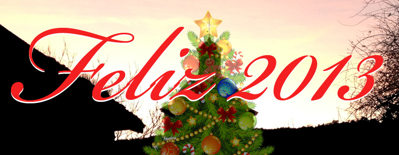 feliz2013