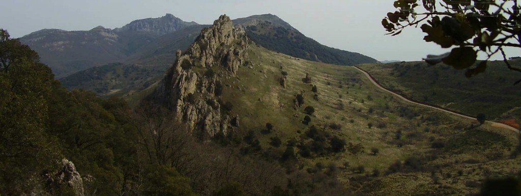 obarenes