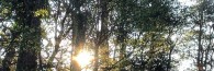 De Valpuesta a los altos del Raso, Risca y Rodil