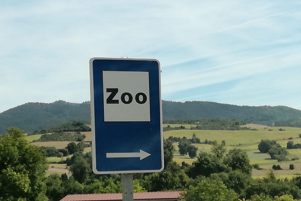 El Zoo de Tuesta