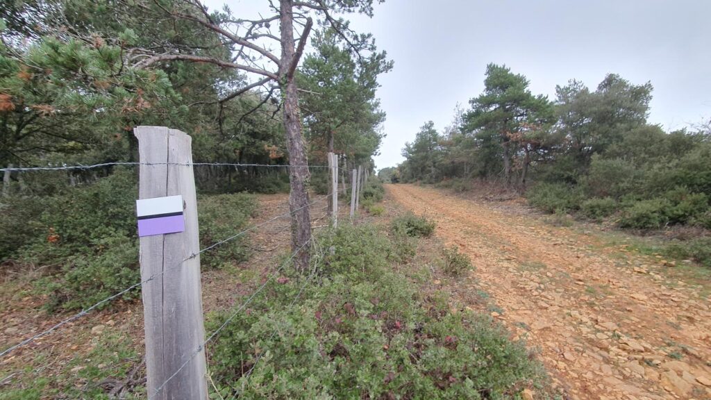 Subida a El Raso desde Valupesta. Cortafuegos