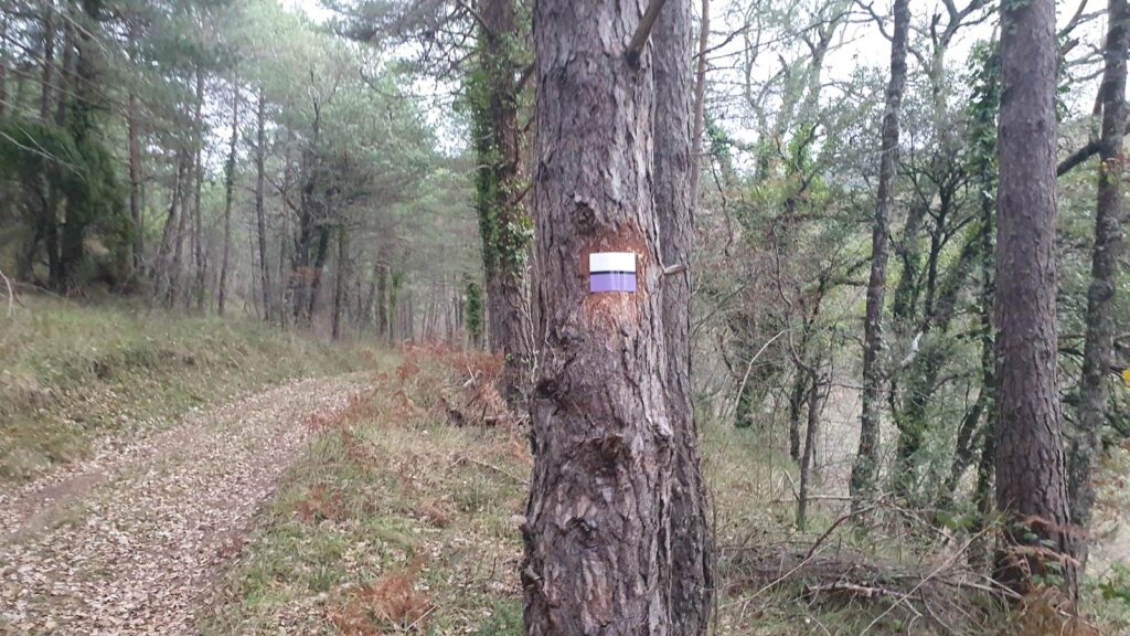 Subida a El Raso, señales